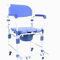 Ghế bô vệ sinh Lucass GX-200